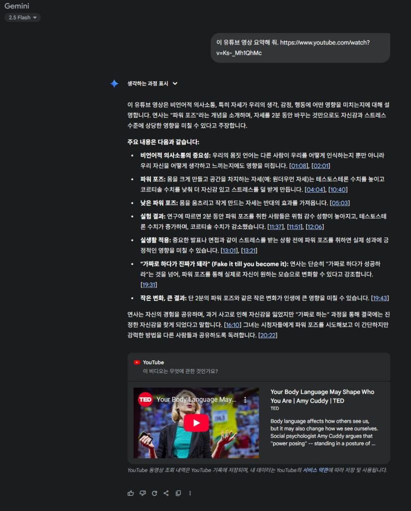 Gemini로 TED 강연 유튜브 영상 요약한 결과 화면 – 핵심 내용이 타임라인 형식으로 정리된 모습